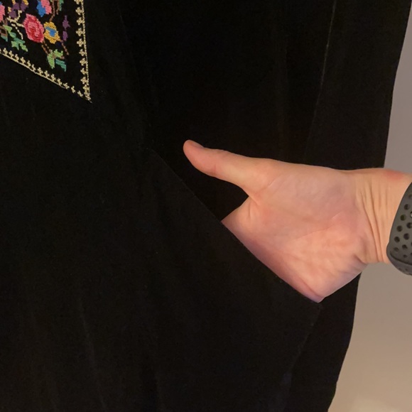 Free People Velvet Embroidered Sheath Dress - Picture 6 of 11